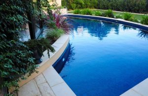 Landscaped Backyard with Pool and Paving